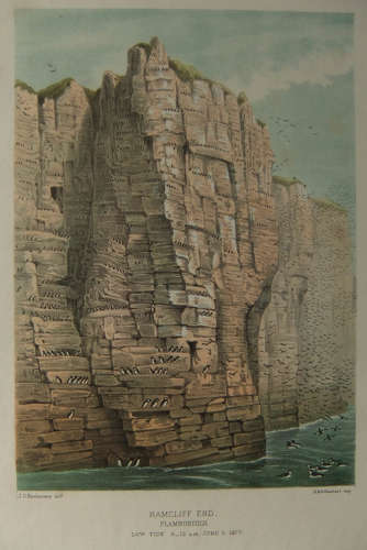 J.G.Keulemans - 