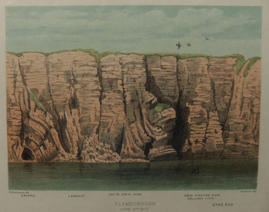 J.G.Keulemans - "Flamborough"