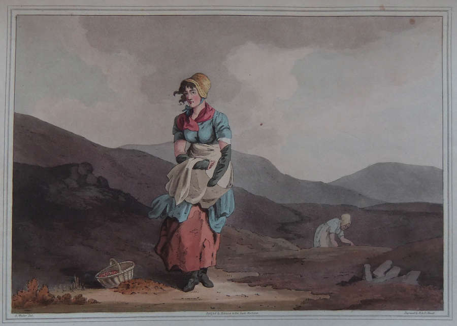 George Walker - "THE CRANBERRY GIRL"