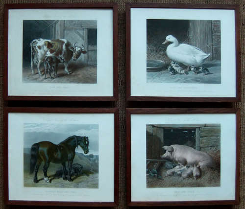 J.F.Herring Senr. - Four old prints from 