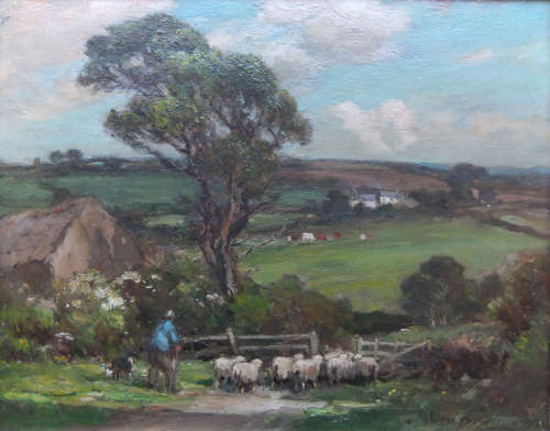Owen Bowen 