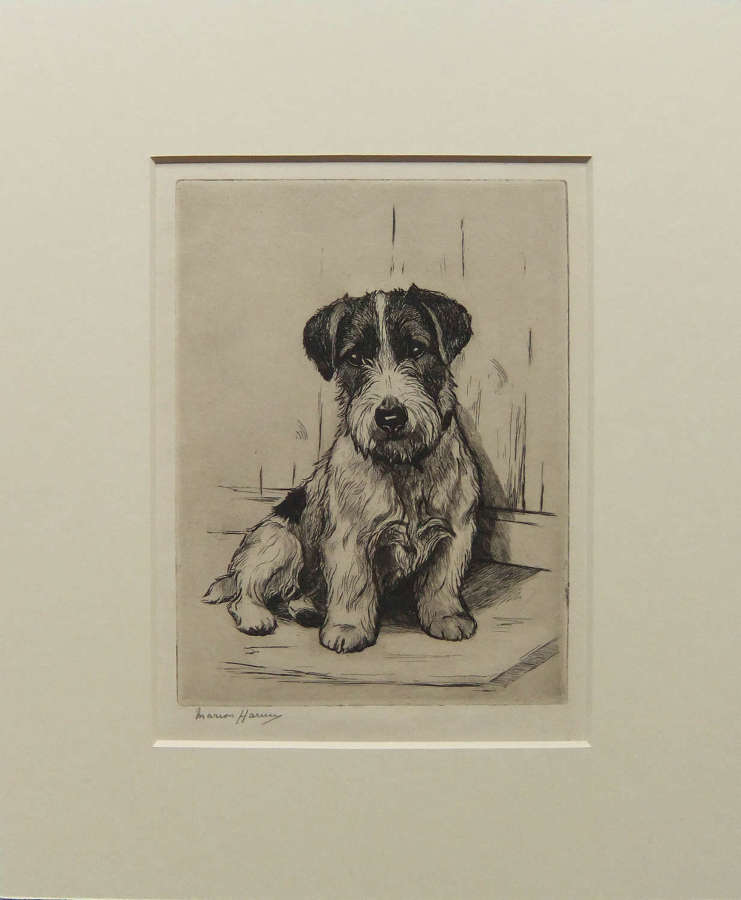Marion Harvey "Shut Out" etching of a pup