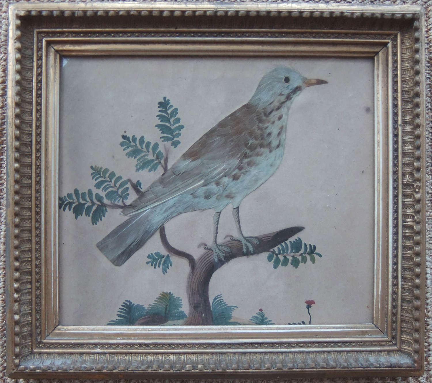 Old Feather Picture, 19th Century English School