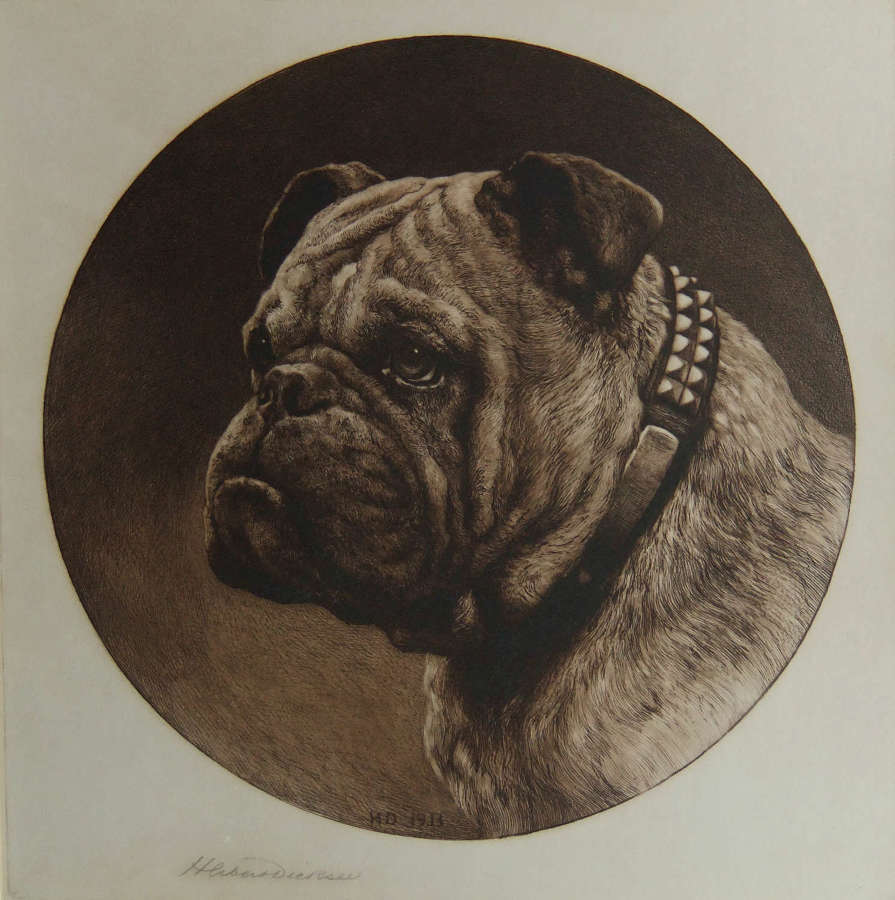 Herbert Dicksee "A British Bull Dog" Original Etching