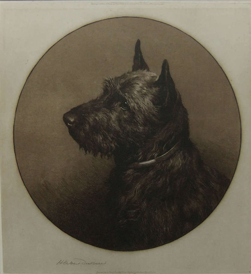 Herbert Dicksee "Who Goes There..?." etching