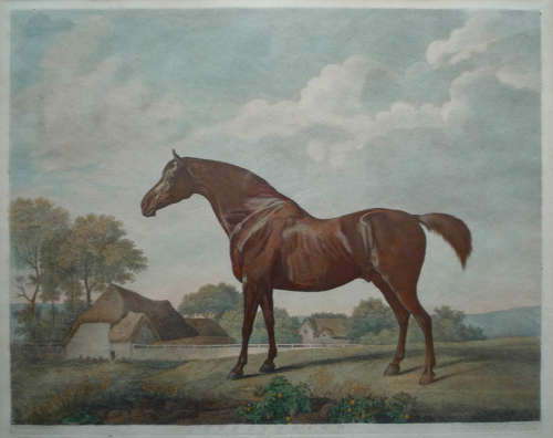 George Stubbs