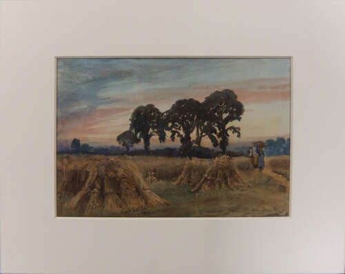 Frank Saltfleet