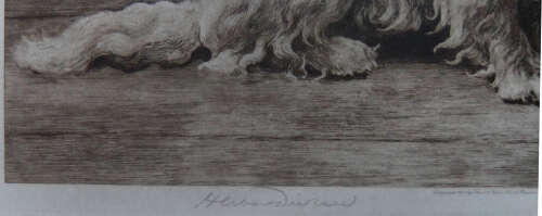 Herbert Dicksee